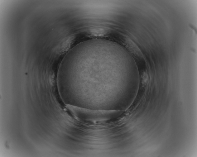 X0000097770559200803141748