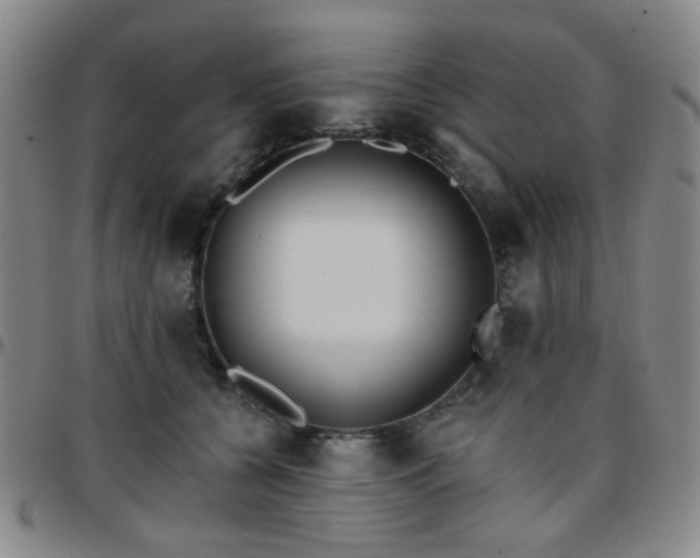 X0000097770560200803141748