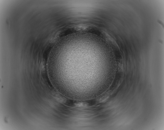 X0000097770561200803141748