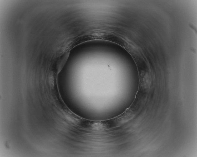 X0000097770562200803141748
