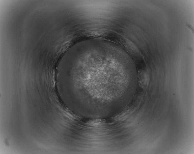 X0000097770563200803141748