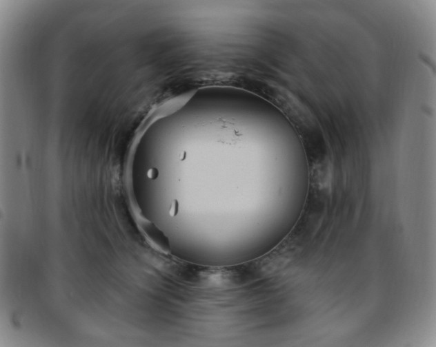 X0000097770564200803141748
