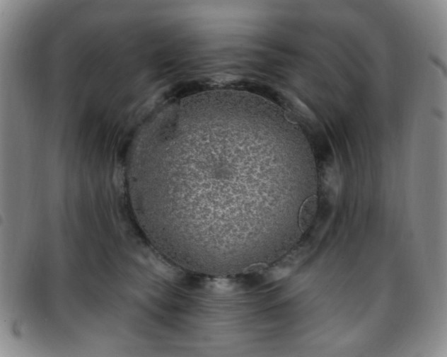 X0000097770565200803141748