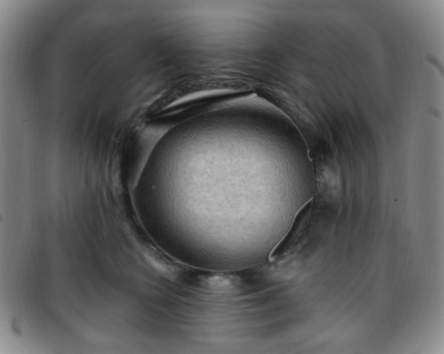 X0000097770566200803141748