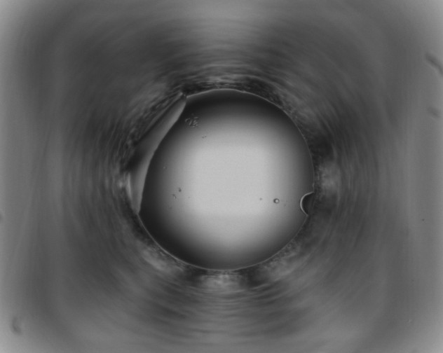 X0000097770567200803141748