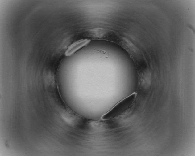 X0000097770568200803141748