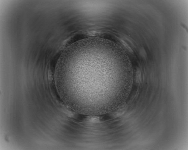 X0000097770569200803141748