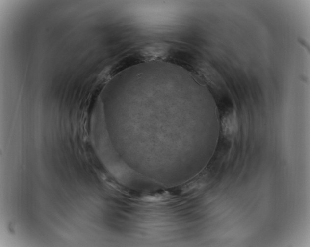 X0000097770570200803141748