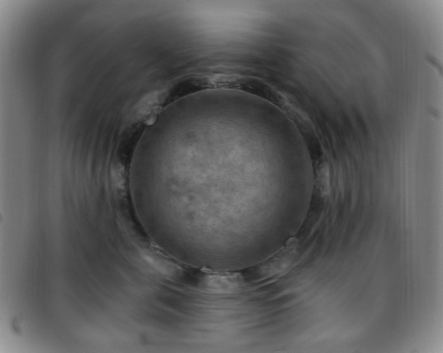 X0000097770571200803141748