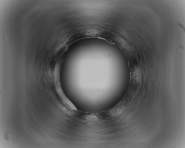 X0000097770572200803141748