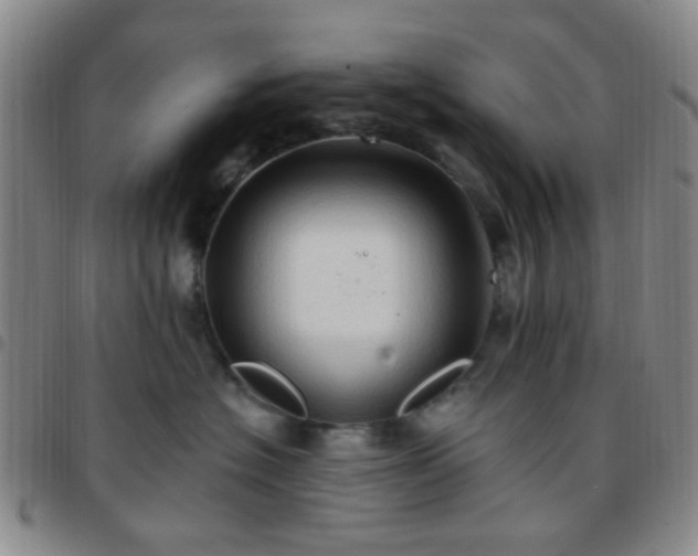 X0000097770574200803141748