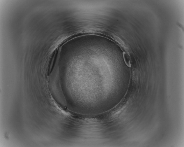 X0000097770577200803141747