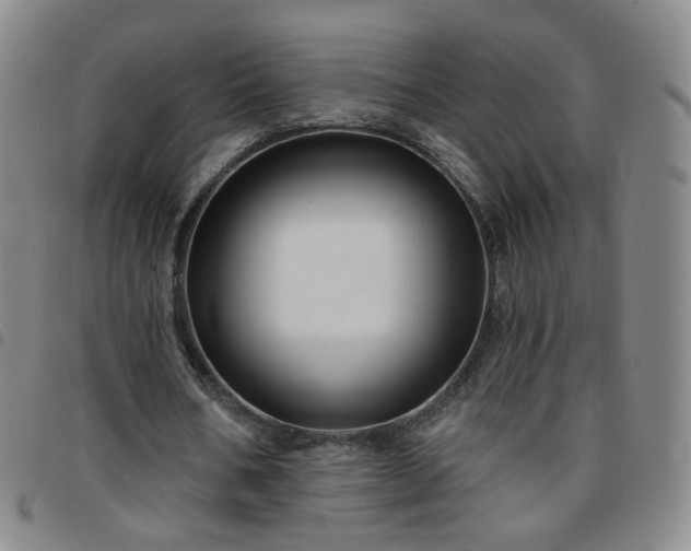 X0000097770578200803141747