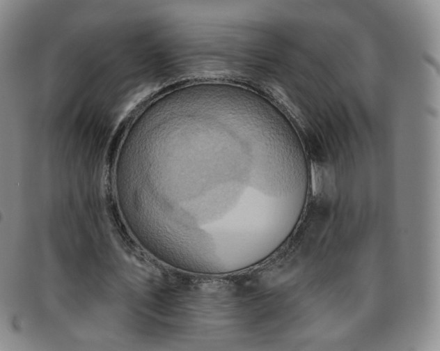 X0000097770579200803141747