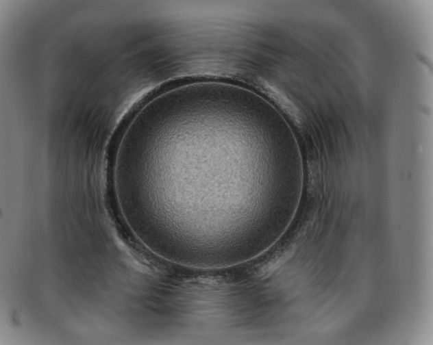 X0000097770580200803141747