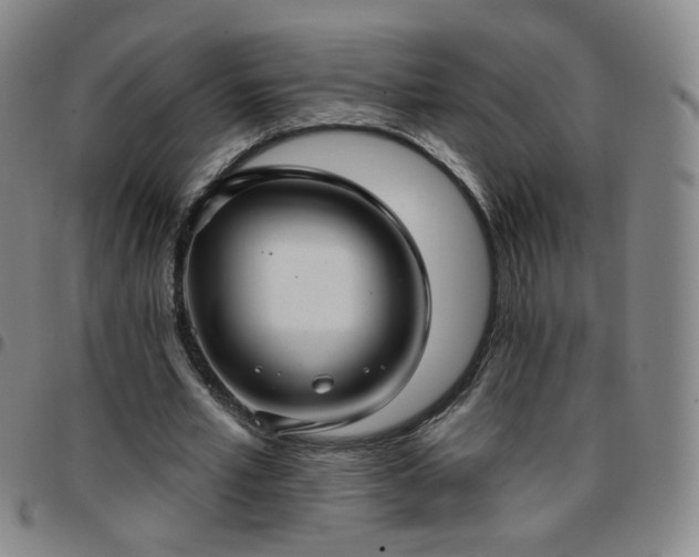 X0000097770581200803141747