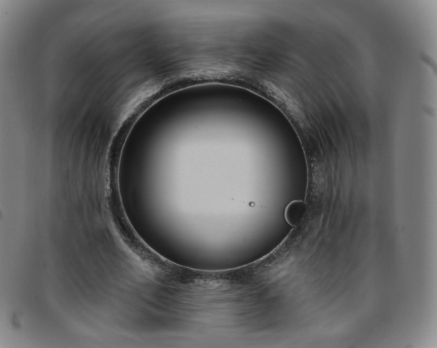 X0000097770582200803141747