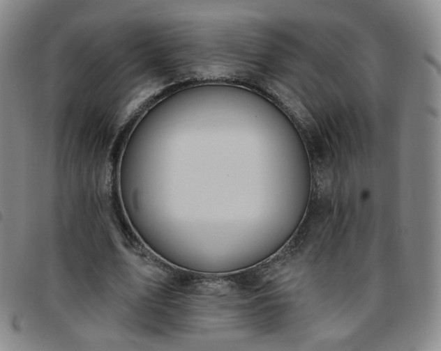 X0000097770583200803141747