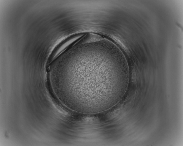 X0000097770584200803141747