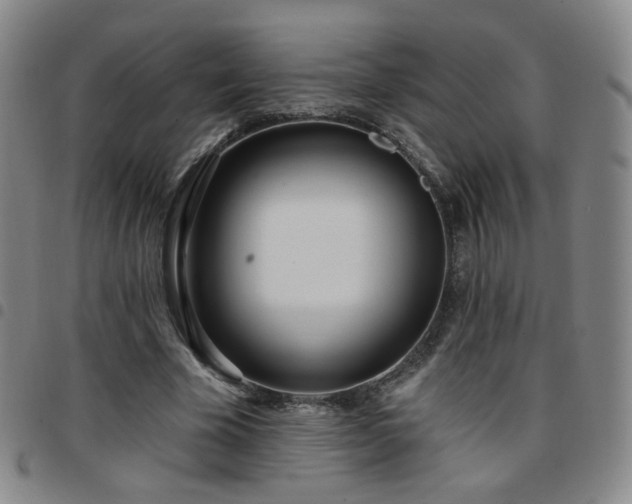 X0000097770585200803141747