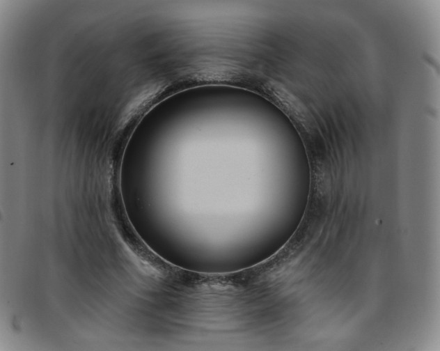 X0000097770586200803141747