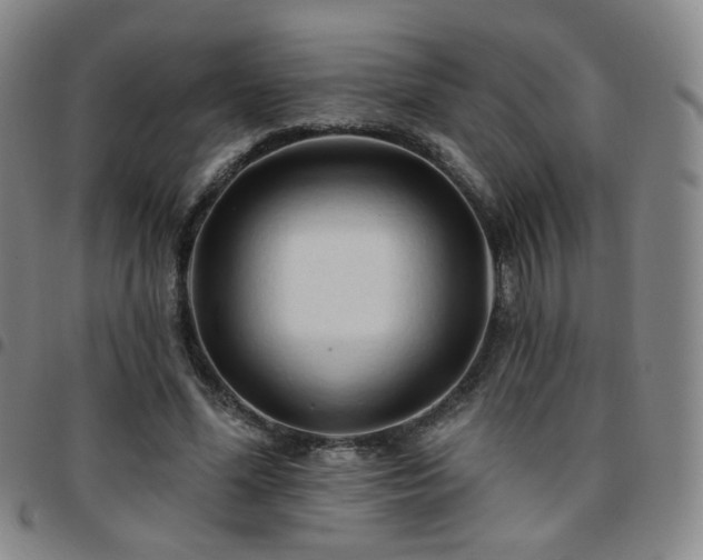 X0000097770588200803141747