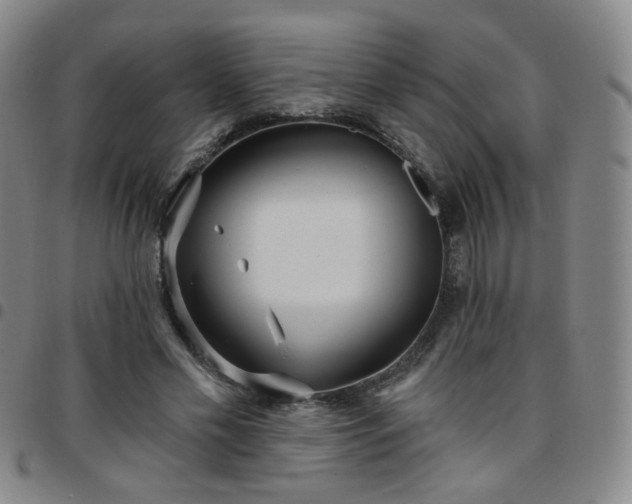 X0000097770589200803141747