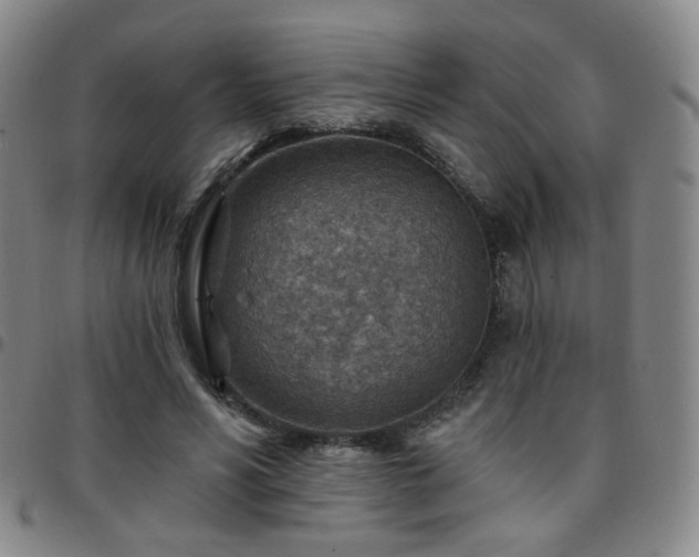 X0000097770590200803141747