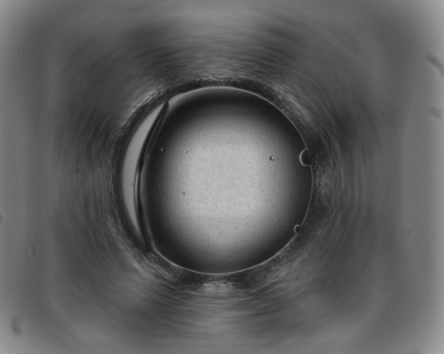 X0000097770591200803141747