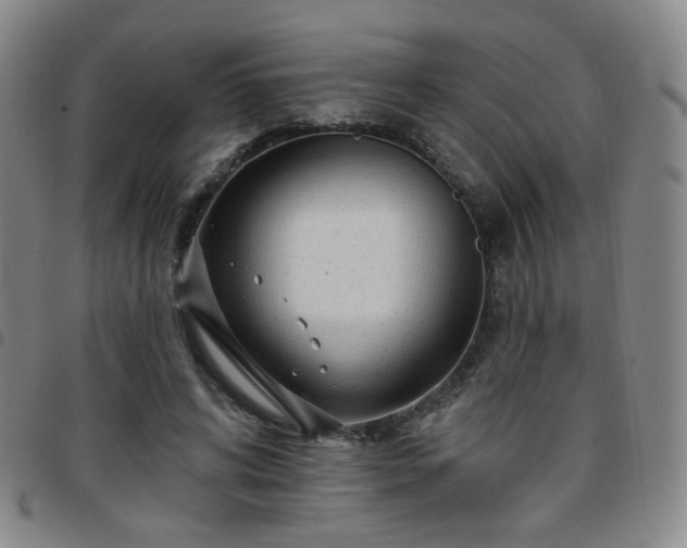 X0000097770592200803141747