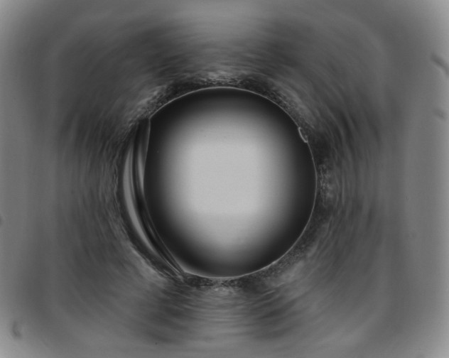 X0000097770593200803141747