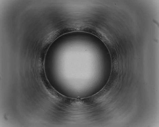 X0000097770594200803141747