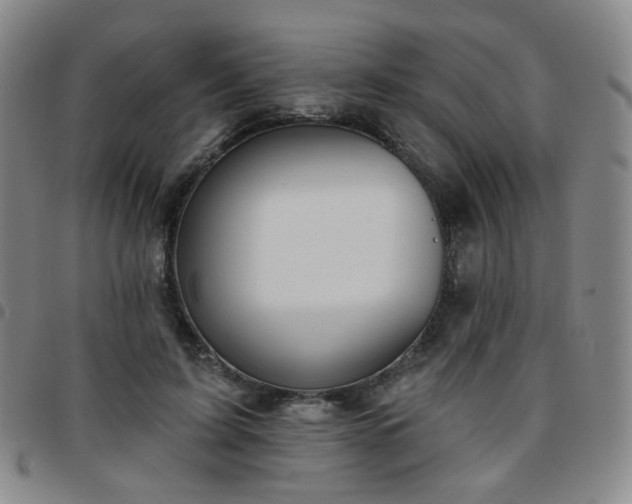 X0000097770595200803141747