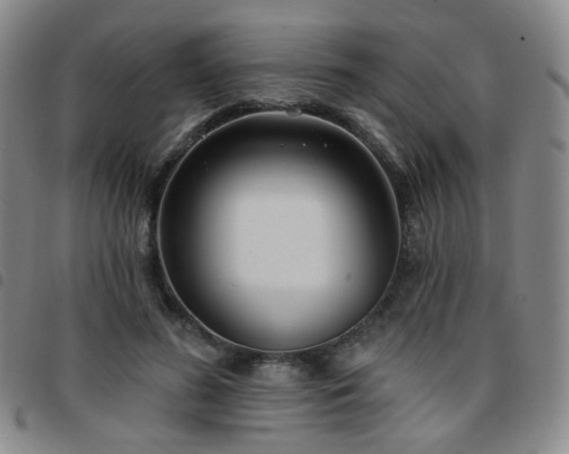X0000097770596200803141747
