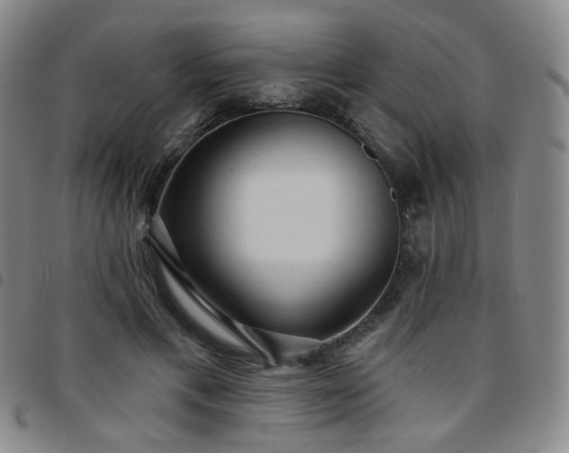 X0000097770597200803141747