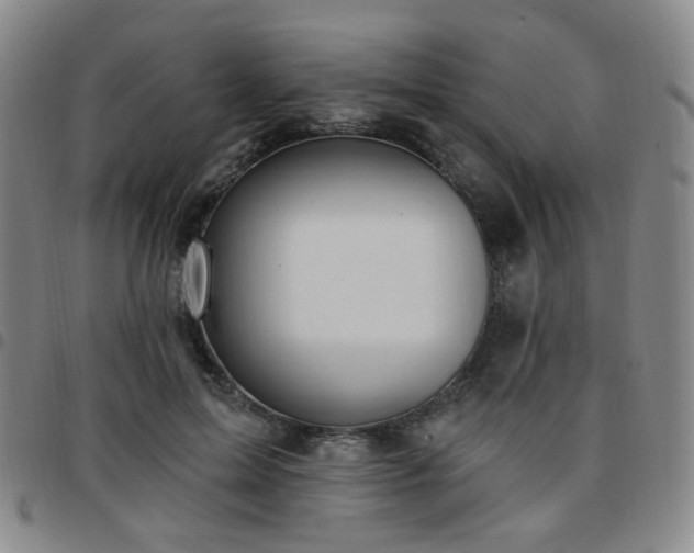 X0000097770599200803141747