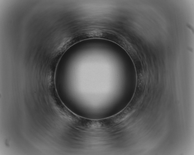 X0000097770600200803141747