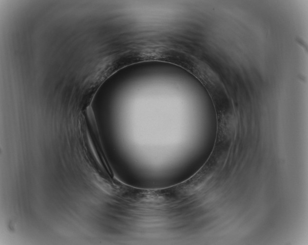 X0000097770601200803141747