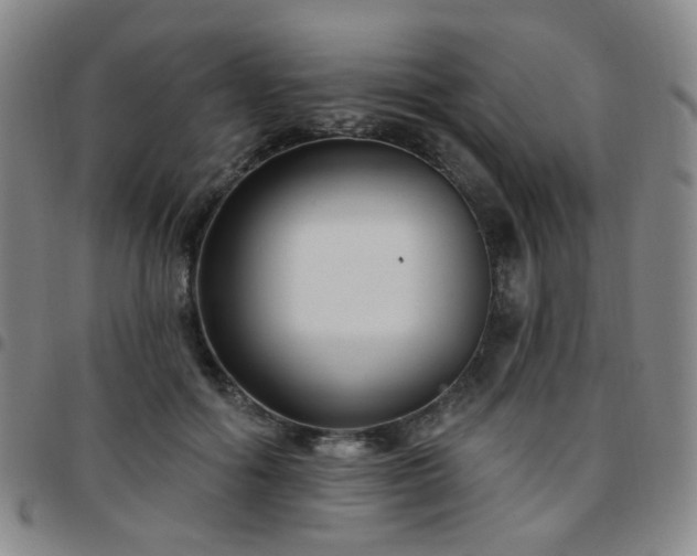 X0000097770602200803141747