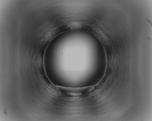 X0000097770604200803141747