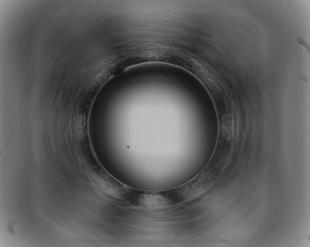 X0000097770605200803141747