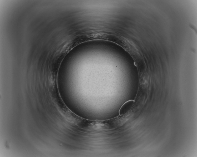 X0000097770607200803141747