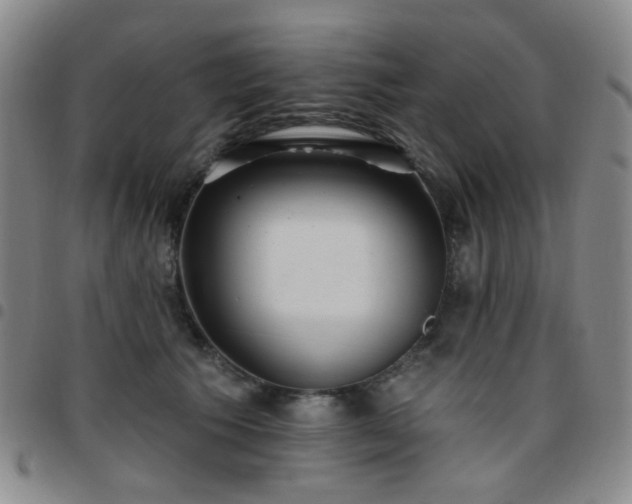 X0000097770609200803141747