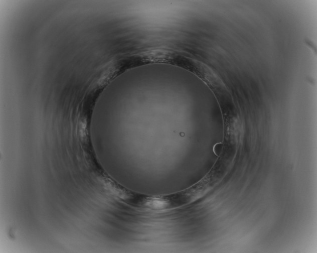 X0000097770610200803141747