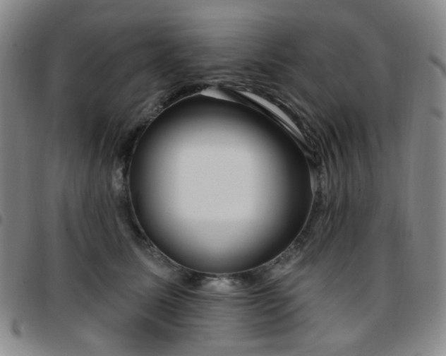 X0000097770611200803141747
