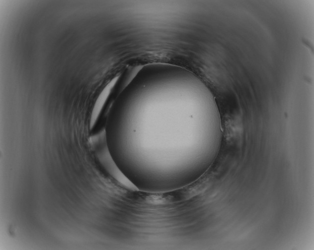 X0000097770613200803141747