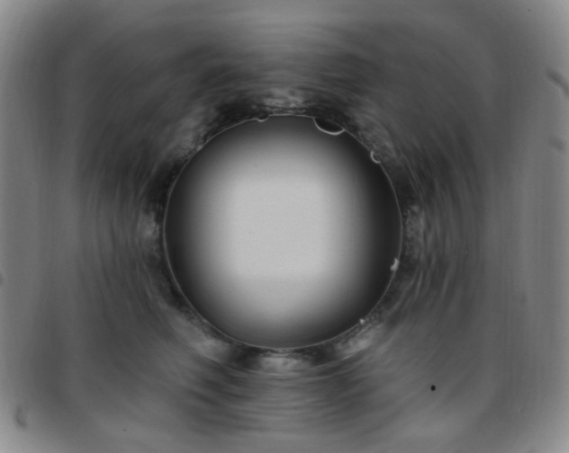 X0000097770614200803141747