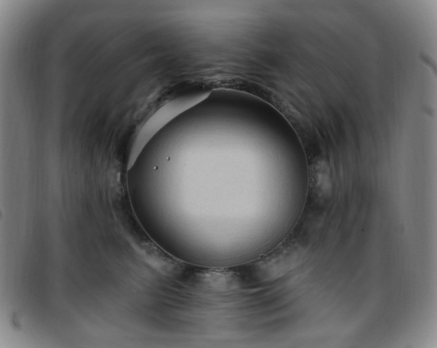 X0000097770615200803141746