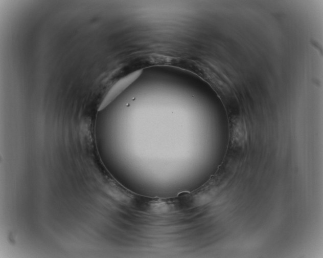 X0000097770616200803141746