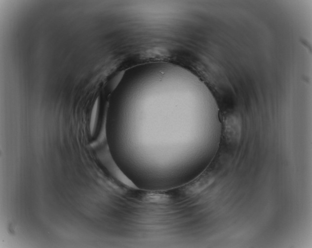 X0000097770617200803141746